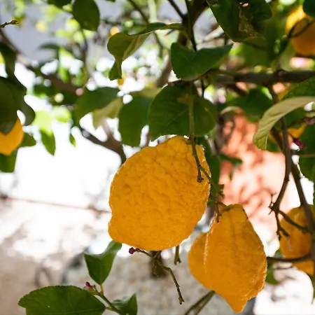 Giglio Di Chia Couette-café